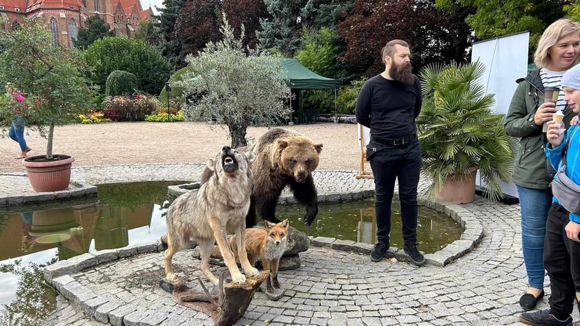 Piknik Paleontologiczny we wrocławskim Ogrodzie Botanicznym