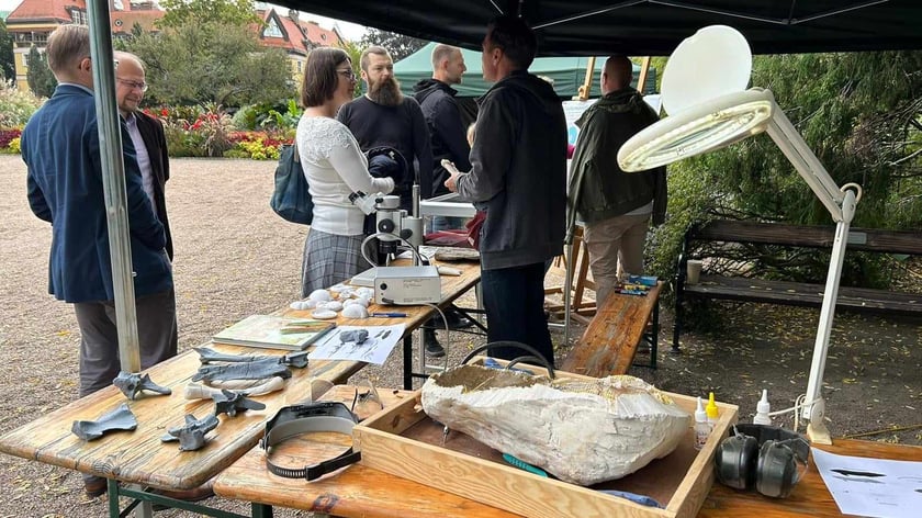 Piknik Paleontologiczny we wrocławskim Ogrodzie Botanicznym