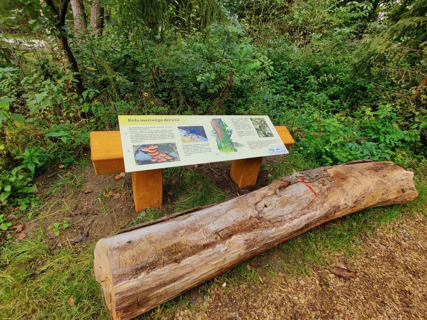 Park kieszonkowy przy ul. Kunickiego na Muchoborze Wielkim