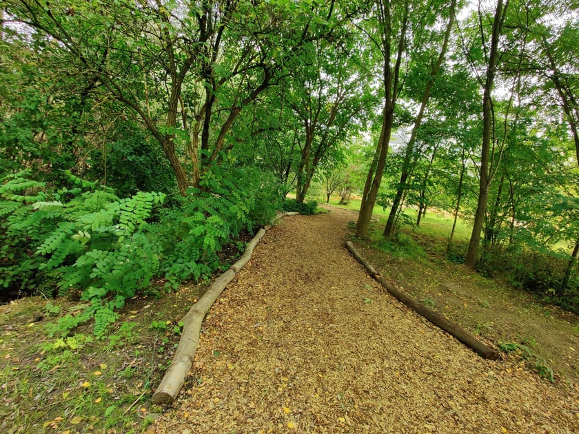Park kieszonkowy przy ul. Kunickiego na Muchoborze Wielkim