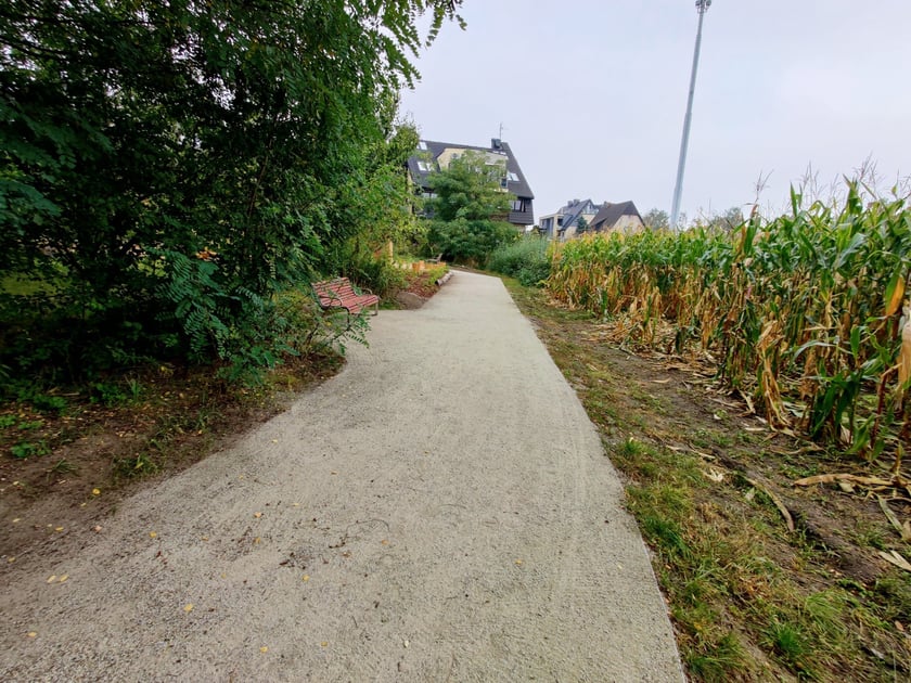 Park kieszonkowy przy ul. Kunickiego na Muchoborze Wielkim