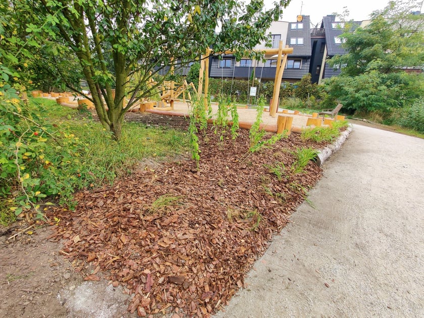 Park kieszonkowy przy ul. Kunickiego na Muchoborze Wielkim