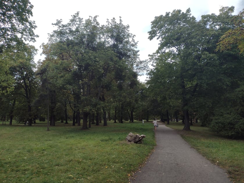 Park Skowroni, październik 2023