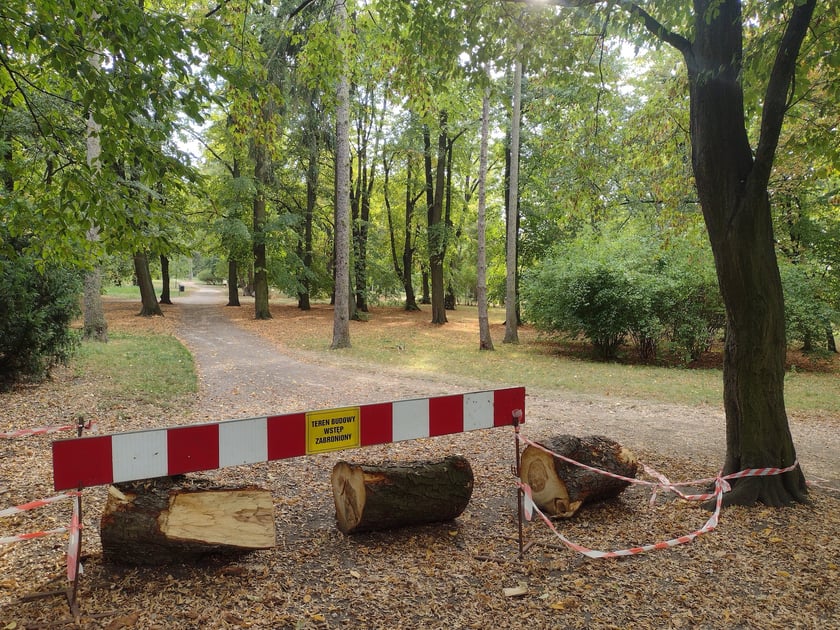 Park Skowroni, październik 2023