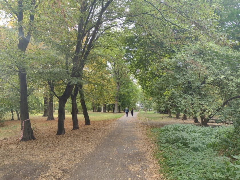 Park Skowroni, październik 2023