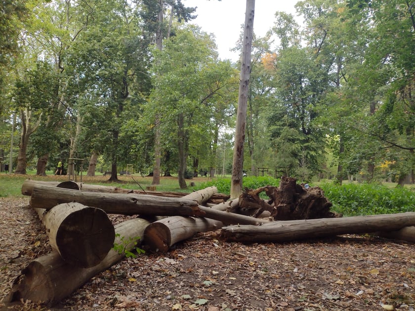 Park Skowroni, październik 2023