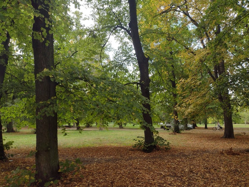 Park Skowroni, październik 2023