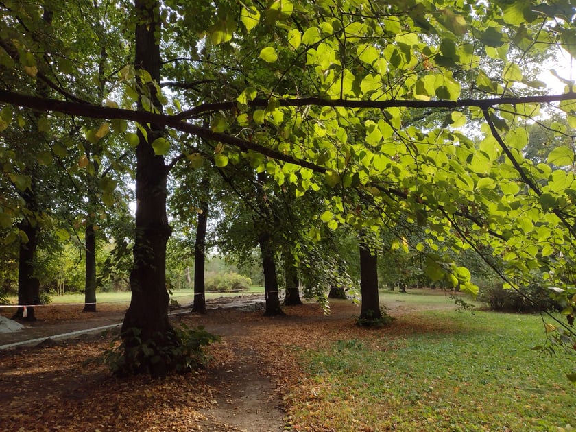 Park Skowroni, październik 2023