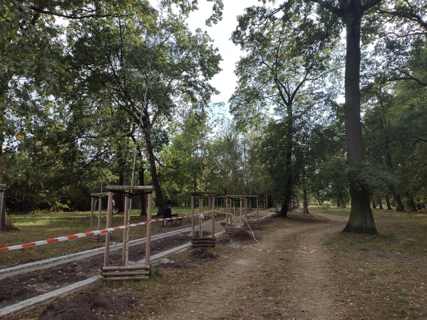 Park Skowroni, październik 2023