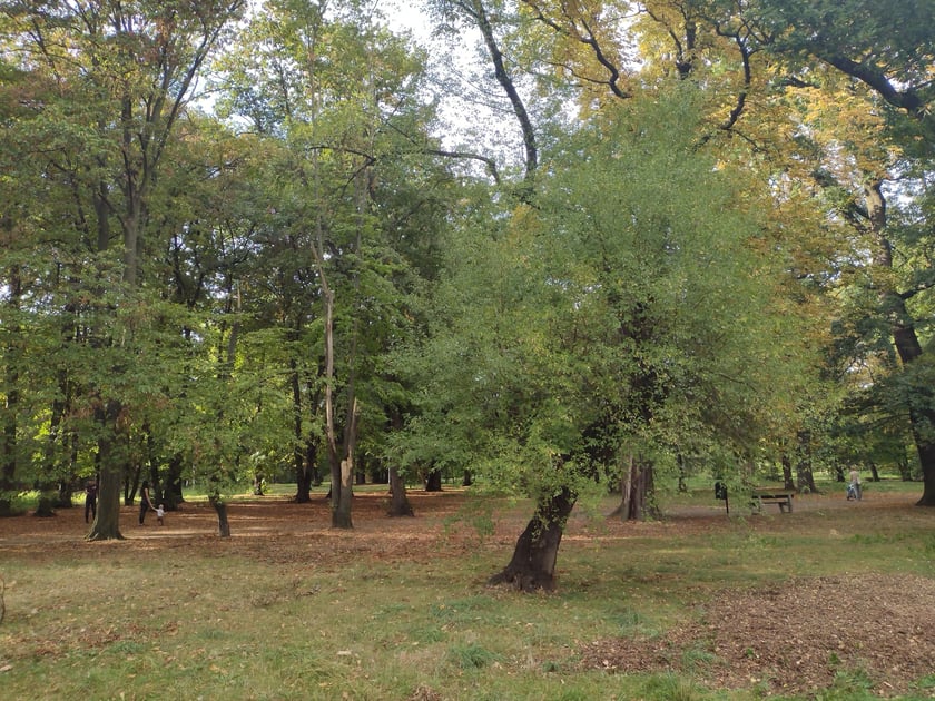 Park Skowroni, październik 2023