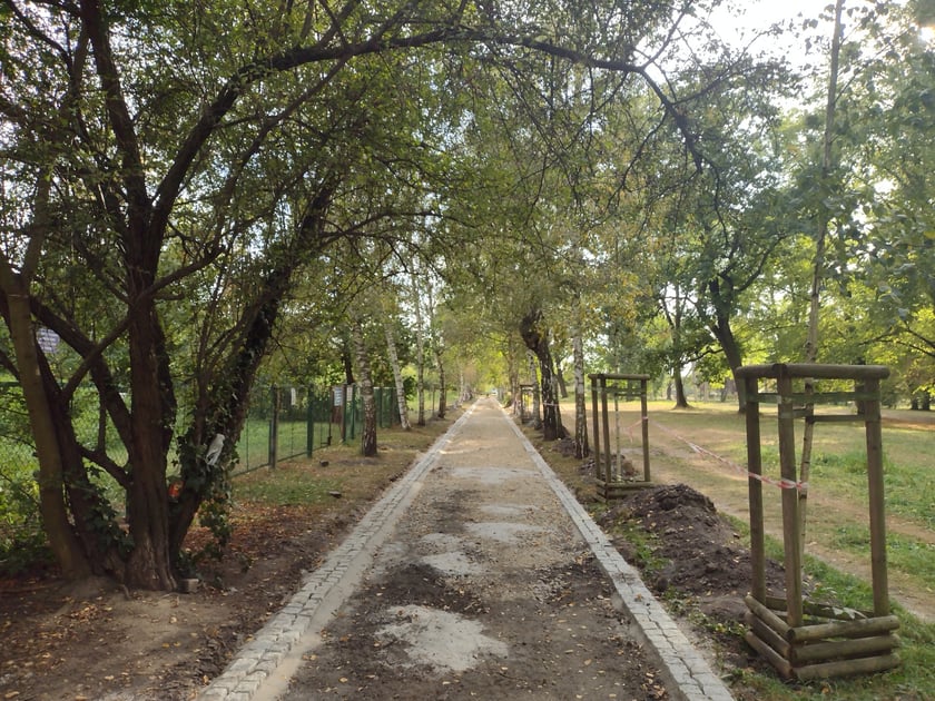 Park Skowroni, październik 2023