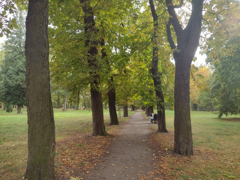 Park Skowroni, październik 2023