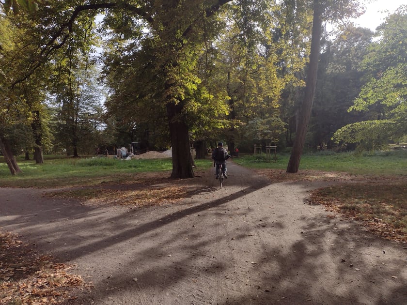 Park Skowroni, październik 2023