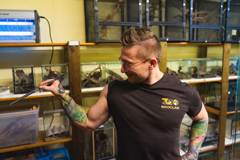 Opiekun zwierząt z zoo Wrocław. Adam Tarnowski z Wydziału Zwierząt Terraryjnych