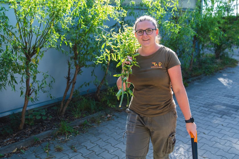 Opiekun zwierząt z zoo Wrocław. Anna Tomaszewska, Wydział Zwierząt Kopytnych