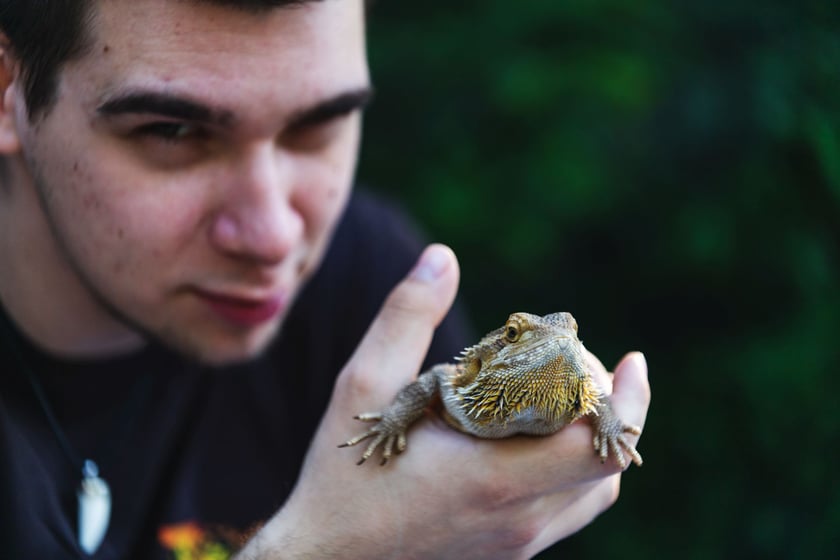 Opiekun zwierząt z zoo Wrocław. Jakub Leśniewicz, Wydział Zwierząt Terraryjnych