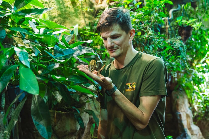 Opiekun zwierząt z zoo Wrocław. Karol Bubel, Wydział Zwierząt Terraryjnych