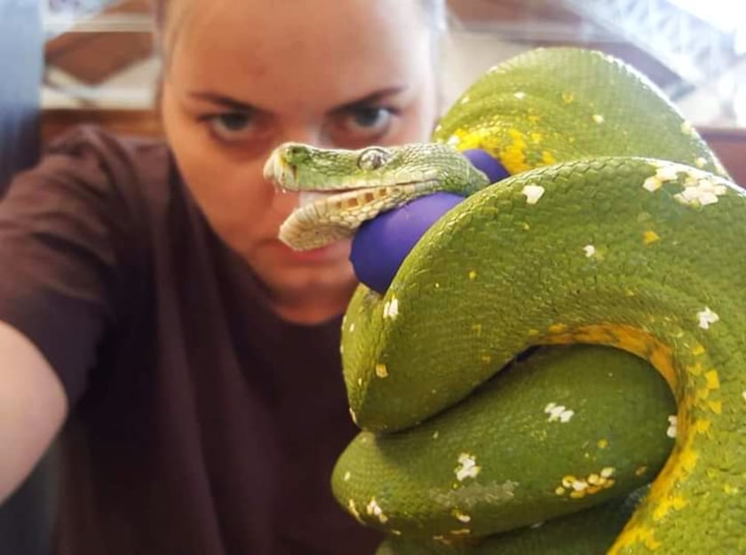 Opiekun zwierząt z zoo Wrocław. Magda Fabiszewska-Jerzmańska, Wydział Zwierząt Terraryjnych