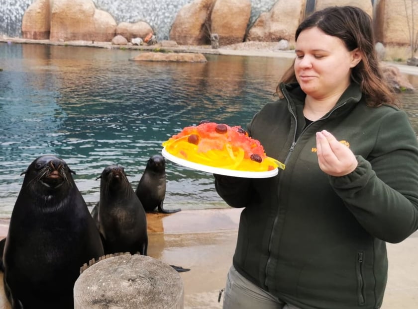 Opiekun zwierząt z zoo Wrocław. Milena Korzeluch, Wydział Ssaków Drapieżnych