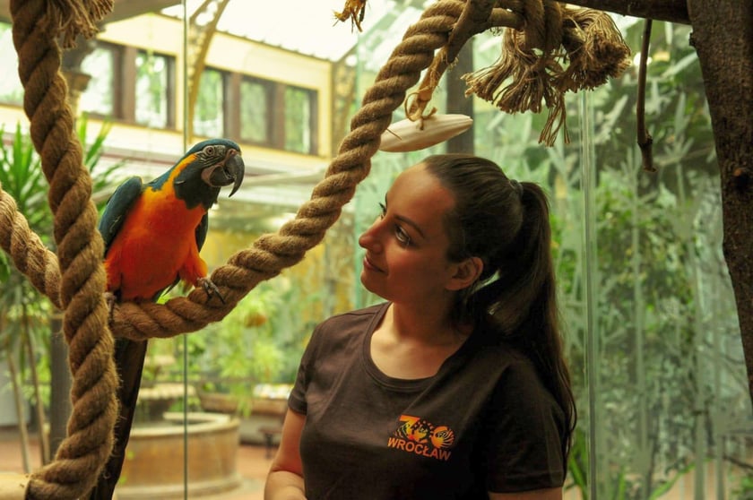 Opiekun zwierząt z zoo Wrocław. Natalia Drzewiecka-Wochal, Wydział Ptaków