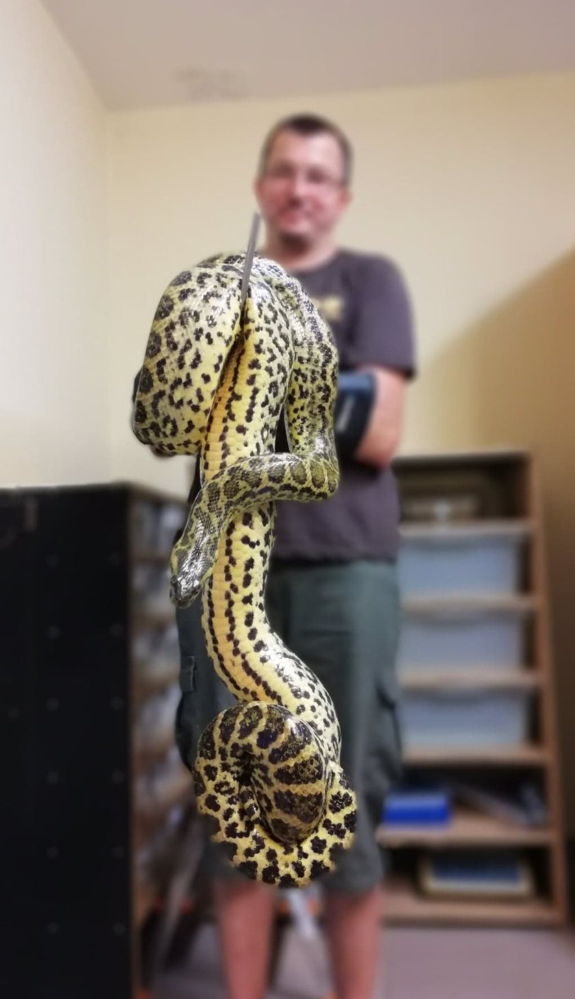 Opiekun zwierząt z zoo Wrocław. Sylwester Bubel, Wydział Zwierząt Terraryjnych