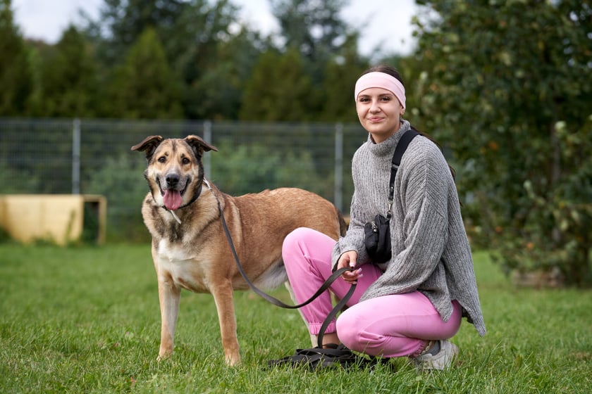 Szatan to starszy duży psiak, kt&oacute;ry do schroniska trafił do schroniska. To bardzo zr&oacute;wnoważony i spokojny pies. Ładnie chodzi na smyczy, nie ciągnie i nie wyrywa się. Dogaduje się z dużymi psami, ale nie przepada za tymi mniejszymi. Szatan lubi ludzi, nie wykazuje do nich agresji.