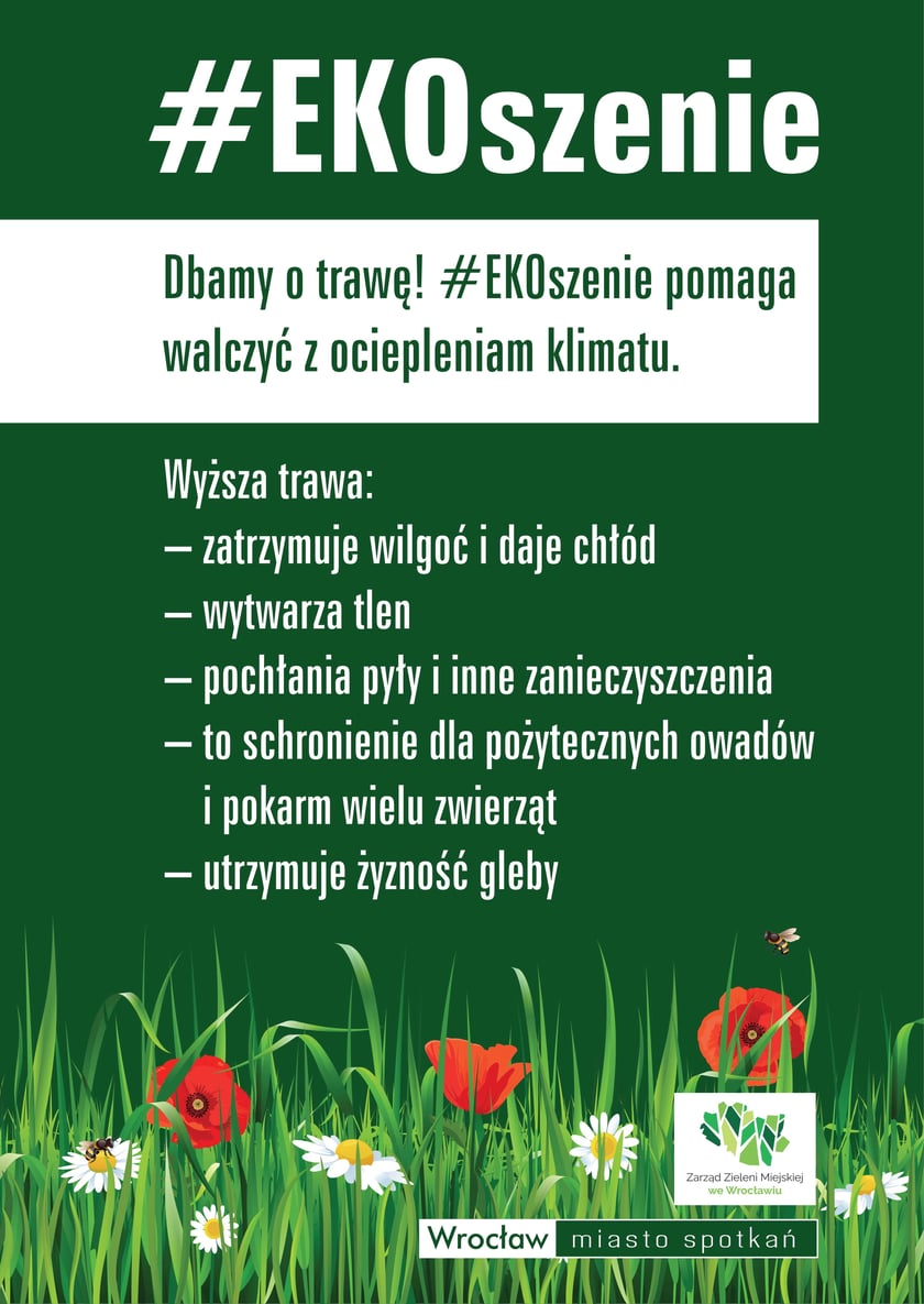 W trawie żyją m.in. owady zapylające kwiaty