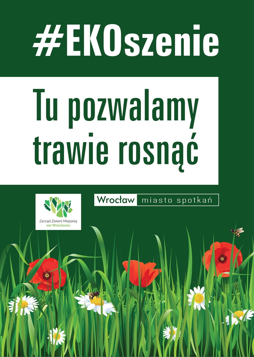 W trawie żyją m.in. owady zapylające kwiaty
