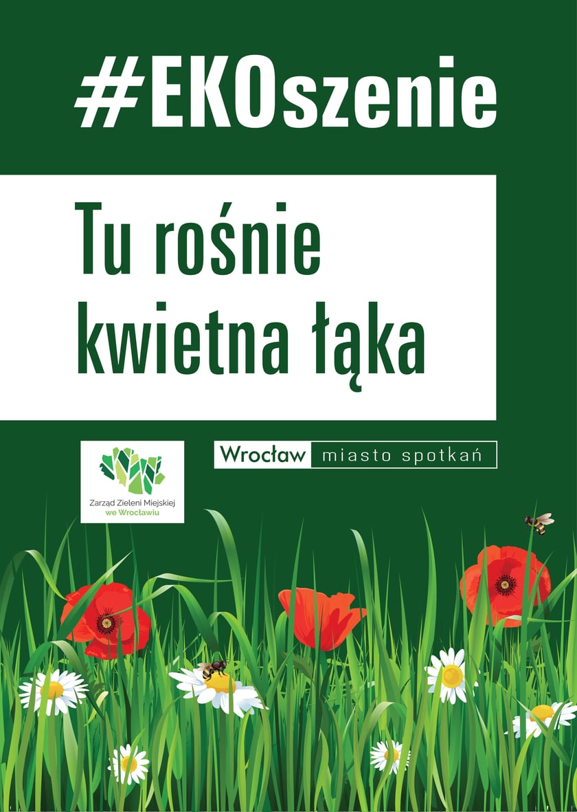 W trawie żyją m.in. owady zapylające kwiaty