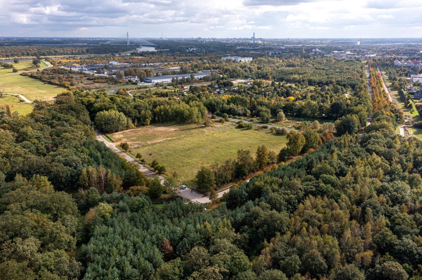 Poznaj urok Lasu Prackiego.