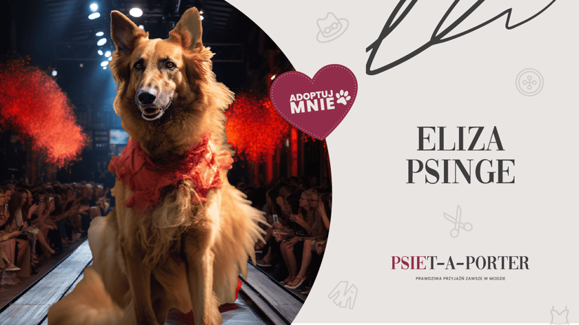 Eliza to piękna suczka w typie owczarka niemieckiego. Bardzo lubi spacery po parkowym wybiegu, na kt&oacute;rych sprawdza się jak prawdziwa topmodelka. Ma około 6 lat i fantastyczny charakter. Spacerowe pokazy z jej udziałem to sama przyjemność!