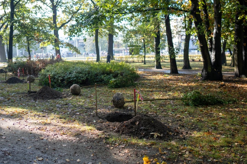 Uczestnicy pikniku WROśnij we WROcław