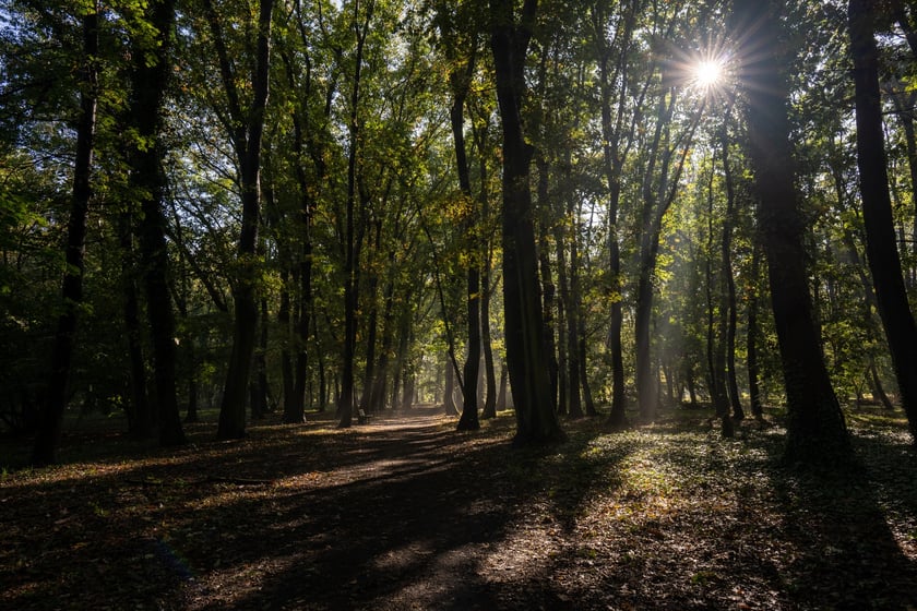 Uczestnicy pikniku WROśnij we WROcław
