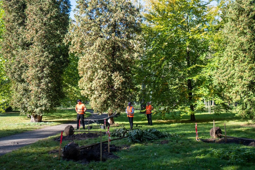 Uczestnicy pikniku WROśnij we WROcław