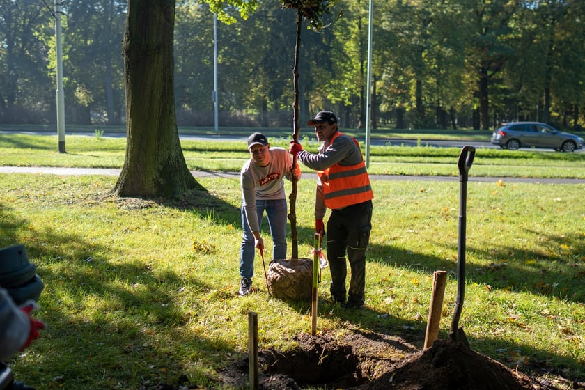 Uczestnicy pikniku WROśnij we WROcław