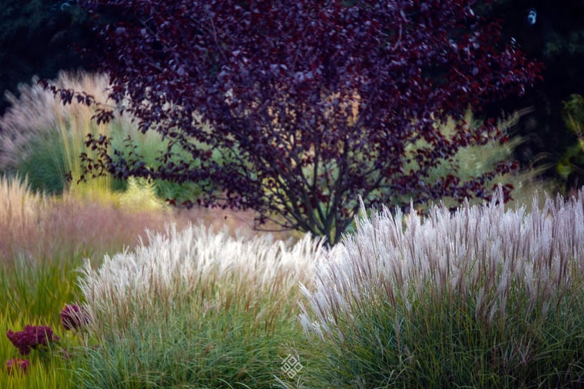 Jesień w Arboretum Wojsławice