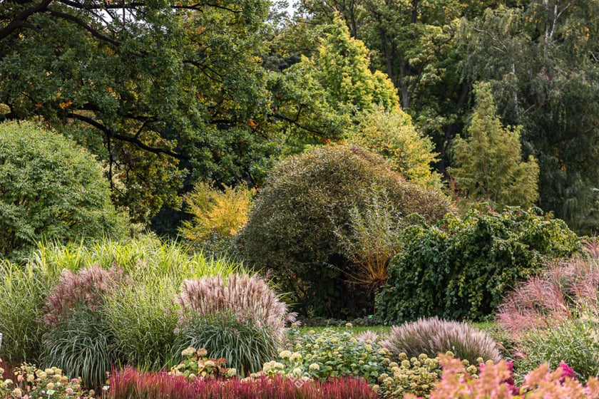 Jesień w Arboretum Wojsławice