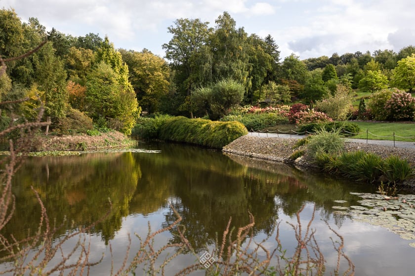 Jesień w Arboretum Wojsławice