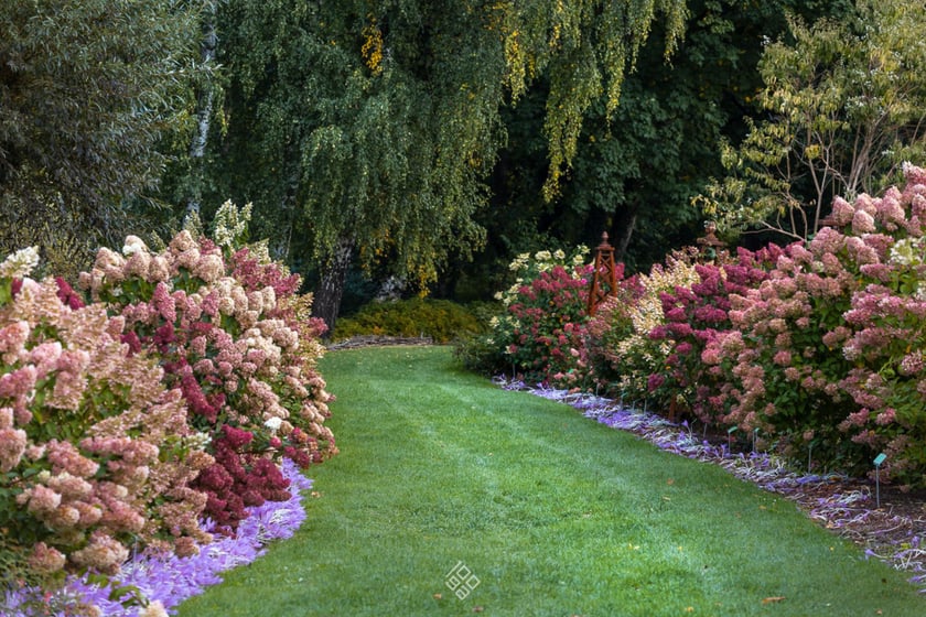 Jesień w Arboretum Wojsławice