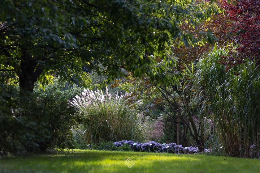 Jesień w Arboretum Wojsławice