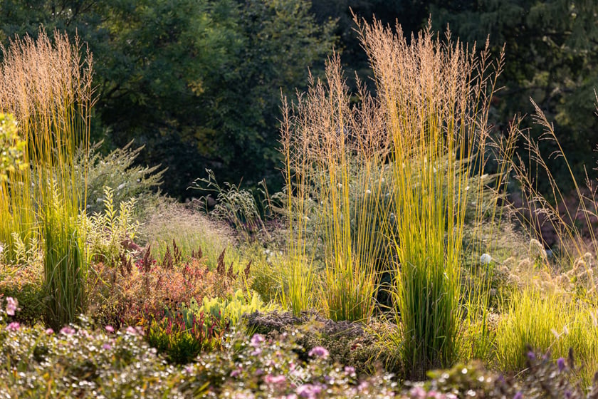 Jesień w Arboretum Wojsławice