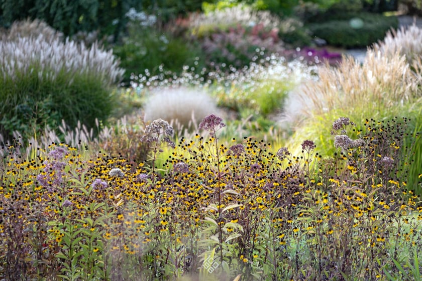 Jesień w Arboretum Wojsławice
