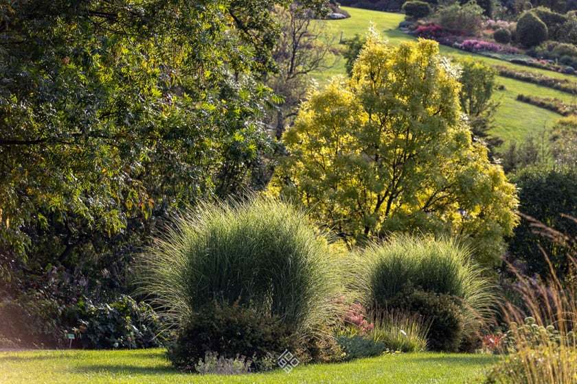 Jesień w Arboretum Wojsławice