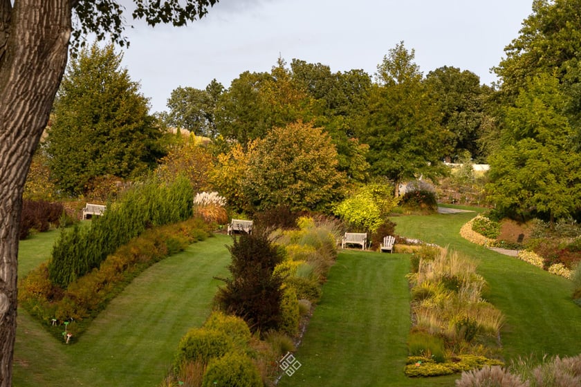 Jesień w Arboretum Wojsławice