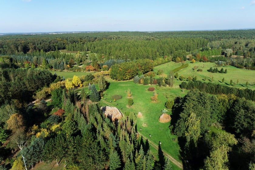 Arboretum Leśne
