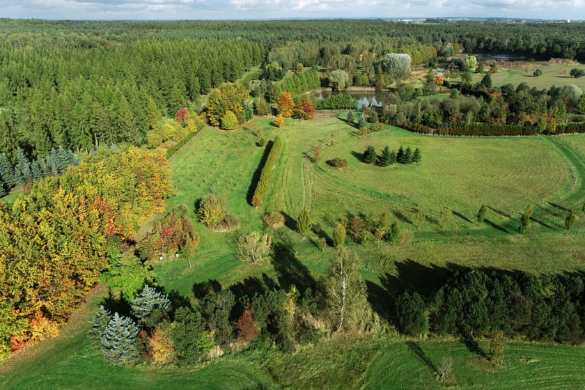 Arboretum Leśne