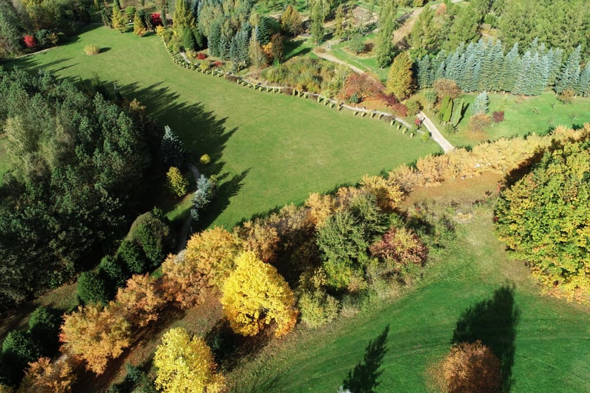 Arboretum Leśne