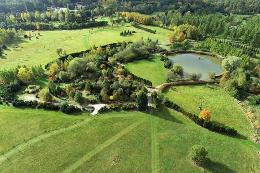 Arboretum Leśne