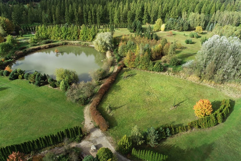 Arboretum Leśne