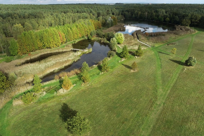 Arboretum Leśne